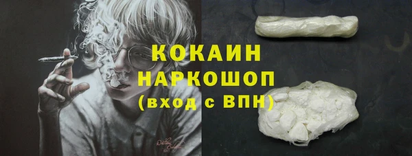 шишки Заводоуковск