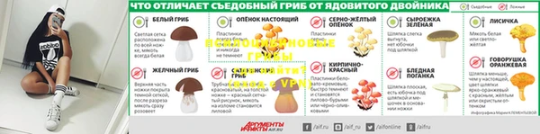 молекула духа Заволжск