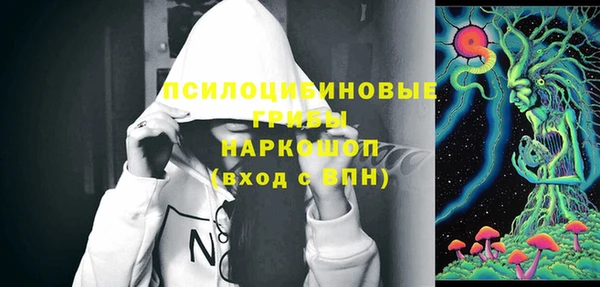 шишки Заводоуковск