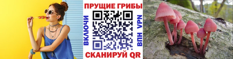 Галлюциногенные грибы Psilocybe  наркошоп  кракен   Искитим 
