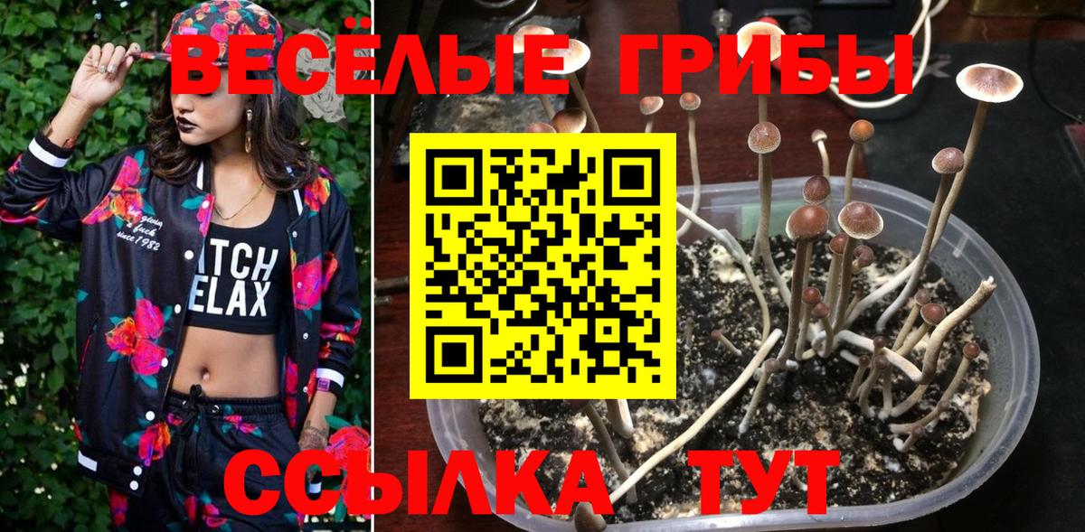  Кокаин Искитим