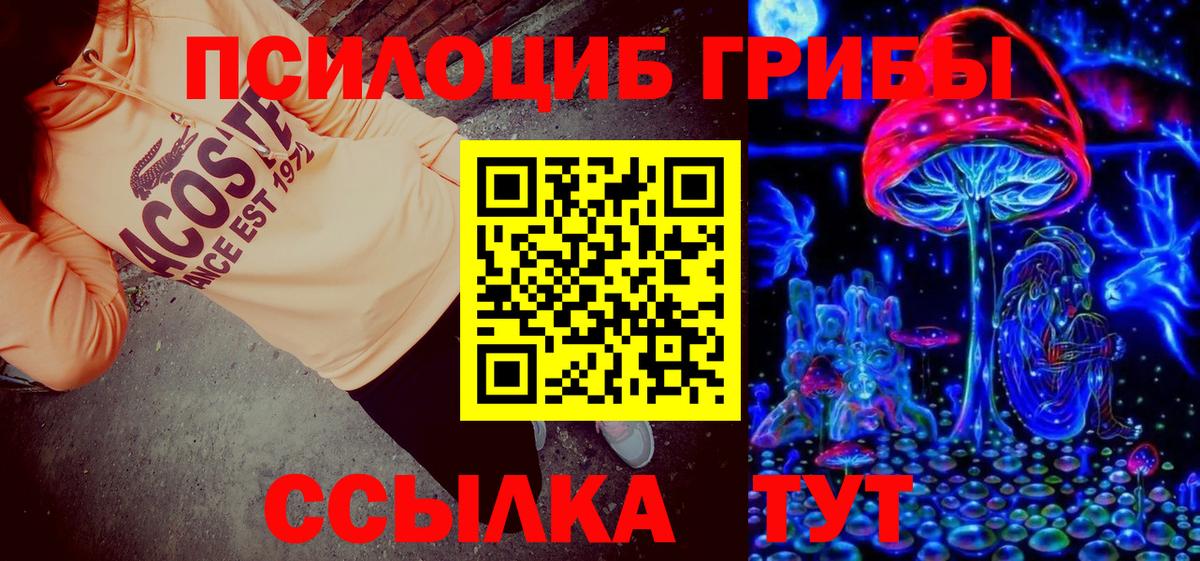 Псилоцибиновые грибы Psilocybine cubensis  Вход с VPN  Галлюциногенные грибы Psilocybine cubensis  Искитим 