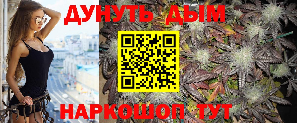 Искитим  Бошки марихуана конопля  Конопля планчик  Вход с VPN  Конопля сатива 